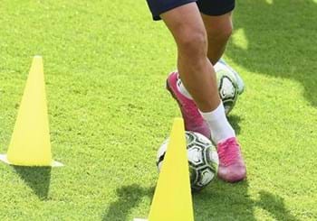I chiarimenti della FIGC sul protocollo per la ripresa delle attività del calcio dilettantistico e giovanile