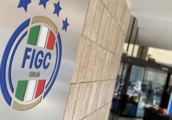 Violazioni amministrative: Triestina e Rimini deferite al Tribunale Federale Nazionale